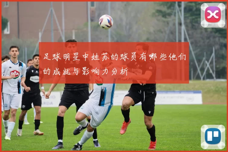 足球明星中姓苏的球员有哪些他们的成就与影响力分析